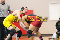 rmhs14zzwres120